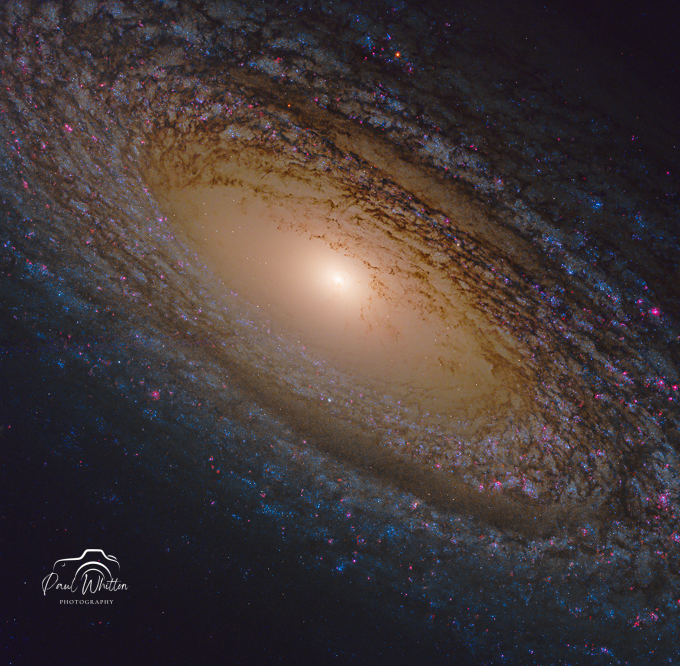 NGC_2841